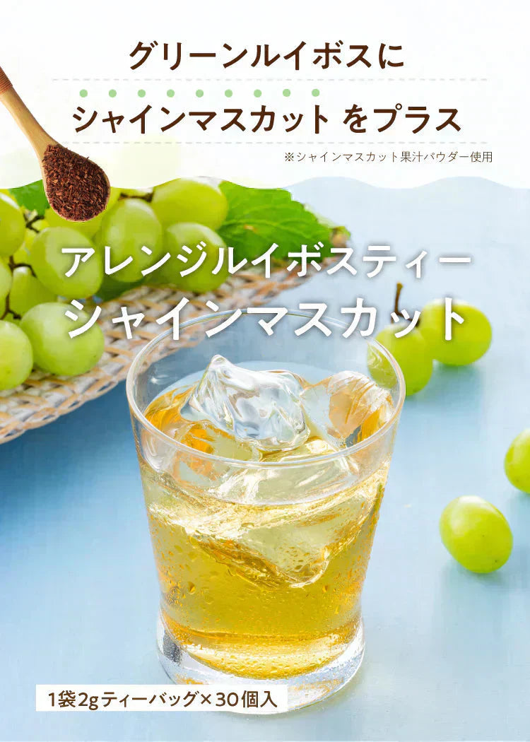 ★水出しOK★【約60杯分】アレンジルイボスティー シャインマスカット カップ用30個入 2袋セット(グリーンルイボスティー ティーバッグ ノンカフェイン ハーブティー)