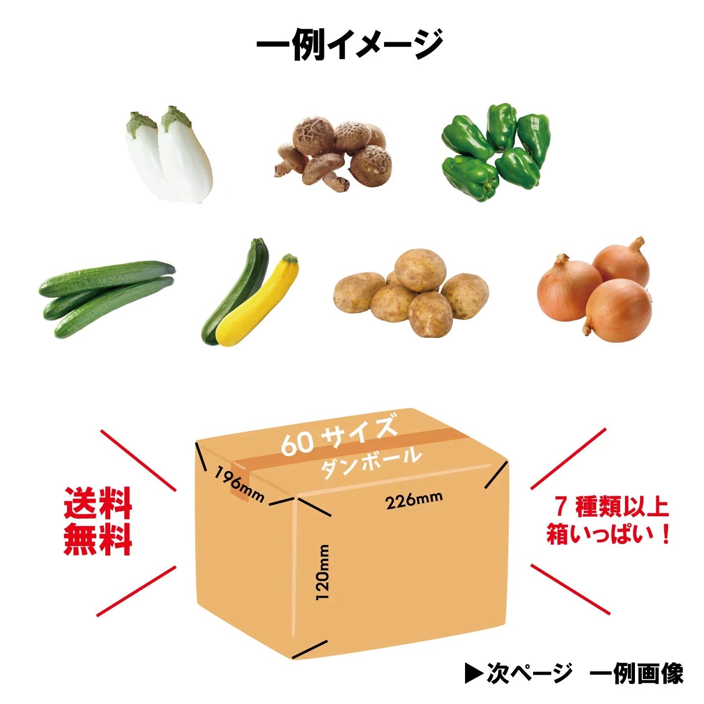 【60サイズ箱にギッシリ!房総産・大地の恵みを味わう得々野菜セット】当日採れたて直送!