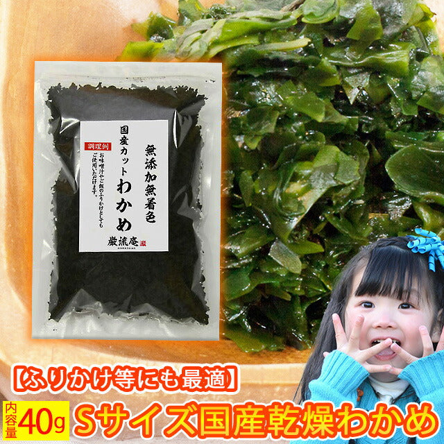 【徳島県産】乾燥わかめ!お試し40g!