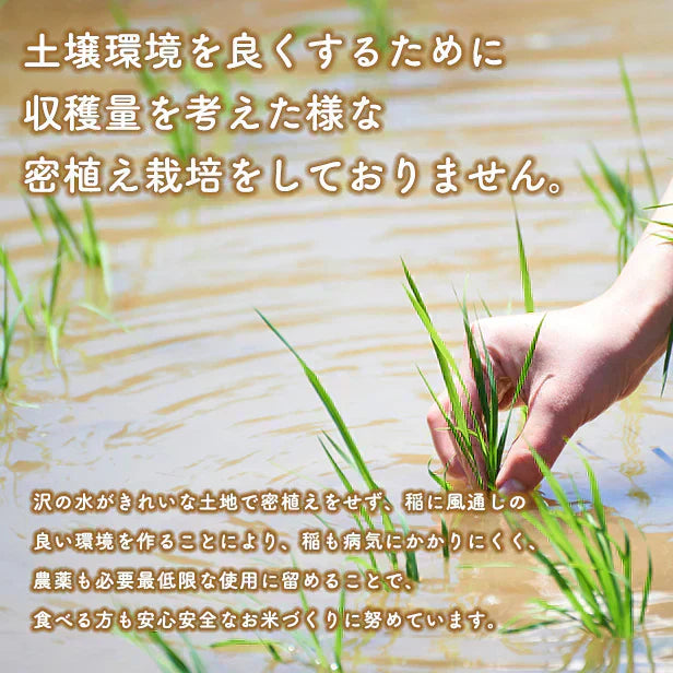 新米!【お助け米20kg】令和7年産 あきたこまち 家計お助け米 農家直送便 20kg(5kg×4袋) 米びつ当番【天鷹唐辛子】プレゼント付き