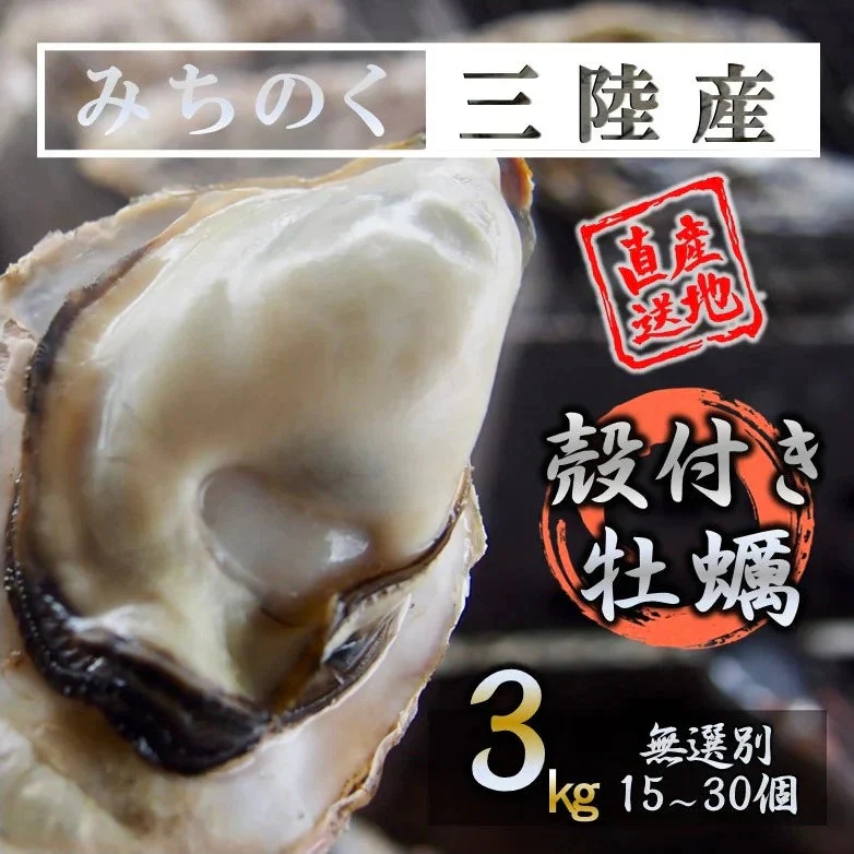牡蠣 みちのく三陸産 殻付き牡蠣 3kg 加熱用 産地直送 冷凍で日持ち抜群 世界三大漁場 石巻 食材 バーベキュー 贈答 焼く 蒸す 煮る かきフライ 等 様々なお料理に