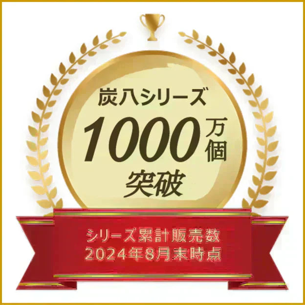 調湿木炭 炭八 スマート小袋 2個入