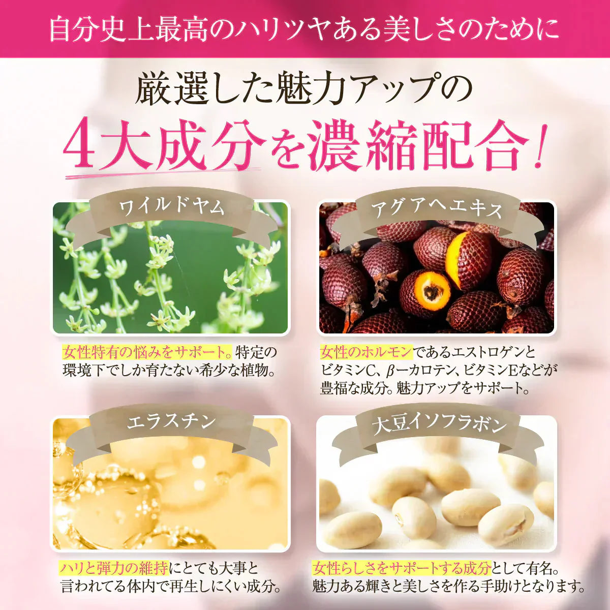 【お得 3ヶ月分】プラスアップマジック【バストアップ バストケア 女子力 魅力 アップ サプリメント バストケア エラスチン ボリューム アップ サプリ ワイルドヤム ザクロ イソフラボン】バスト ケア サプリ プラセンタ エラスチン ザクロ イソフラボン コラーゲン エストロゲン 美容 ダイエット おすすめ 人気 ランキング 効果 強力 最強 日本製 胸 ボリューム 肌 バストケア バストアップ 魅力アップサプリ