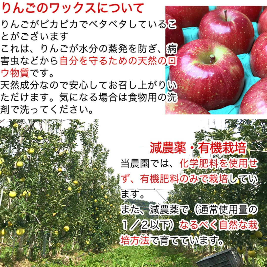 【2023年産予約開始!】秋映 訳あり 約4.5kg (12-25玉) 9月下旬頃発送開始予定 #YAA0B045