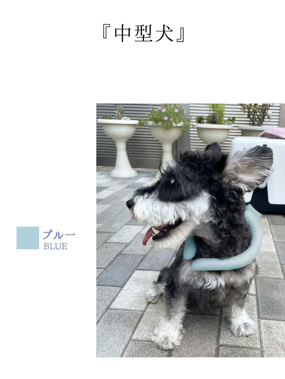 【超軽量デザイン!】\1本 Sサイズ 色がランダム出荷/犬用 アイスクールリング ネッククーラー クールリング ひんやりリング ひんやりグッズ クールネック ひんやりリング 冷やす 首掛け 犬 冷感リング 冷感グッズ ペット用 お散歩