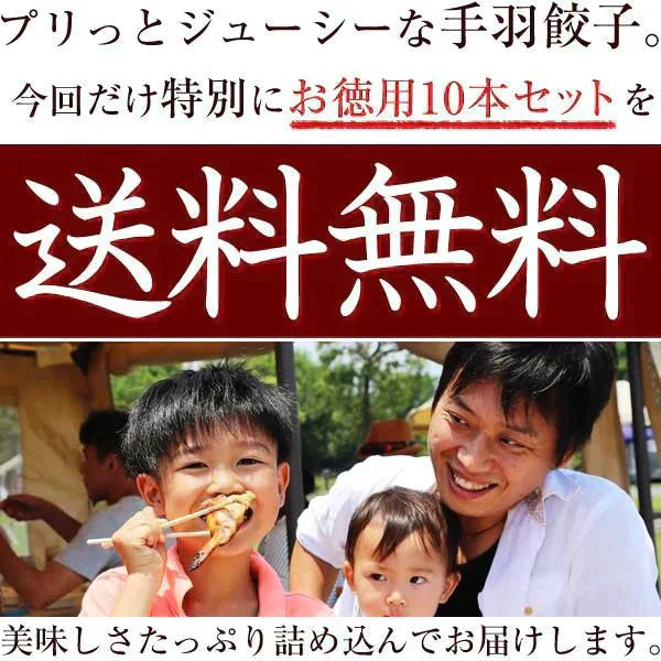 8秒に1本売れてる!手羽先餃子10本セット