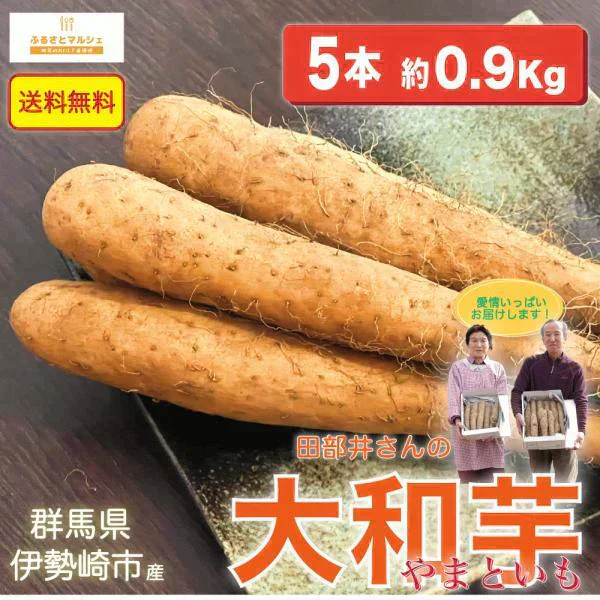 大和芋 ヤマトイモ 5本 ( およそ0.9Kg ) 群馬県伊勢崎市産 贈答用にも 【送料無料】【別途送料地域あり】