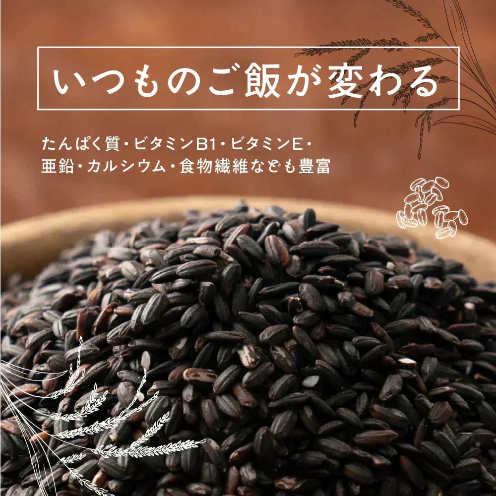 雑穀 雑穀米 国産 黒米 400g お試しサイズ 無添加 無着色 送料無料 古代米 くろまい こくまい ダイエット食品 置き換えダイエット