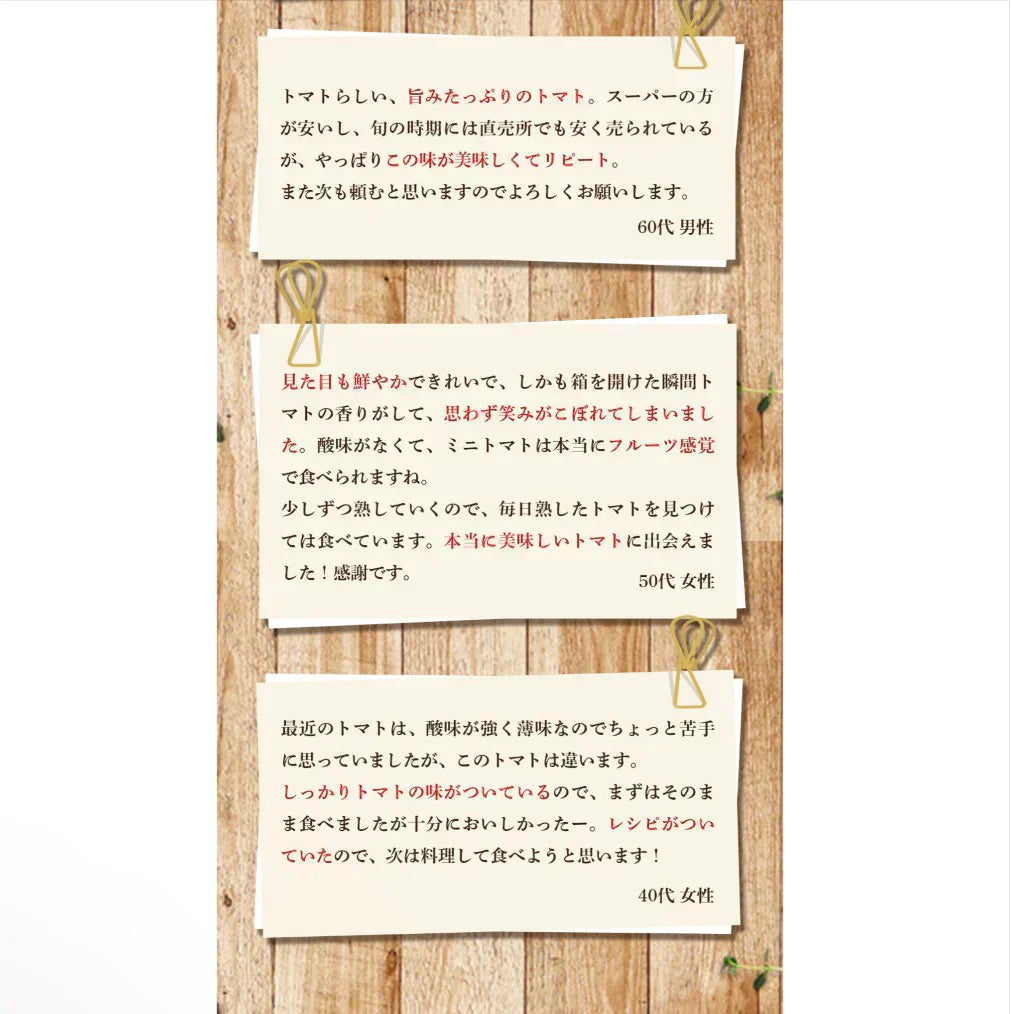 予約【1月前後から発送開始】お試し\特別栽培農産物/ソムリエミニトマト プラチナ 390g