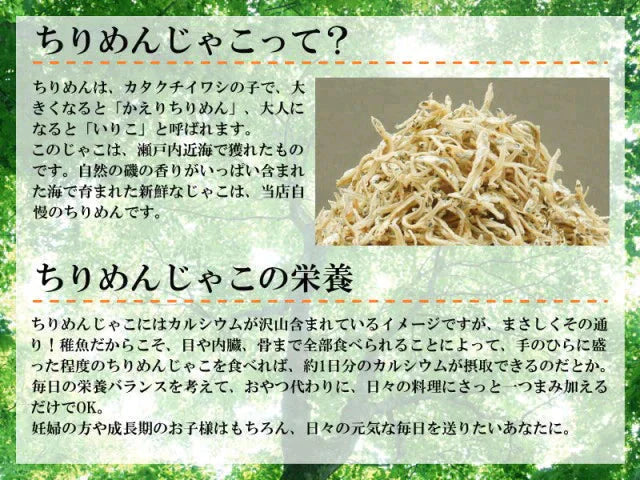訳あり カリカリ ちりめんじゃこ 250g ×1袋 上乾燥 広島産 送料無料 無選別 大小不揃い