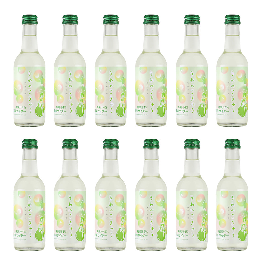 BENIサイダー 梅の呼吸 12本入り 炭酸飲料 福井県 ご当地 梅サイダー 香料不使用【送料込み】【お届け不可地域:北海道・沖縄・離島】【お届け日時指定不可】