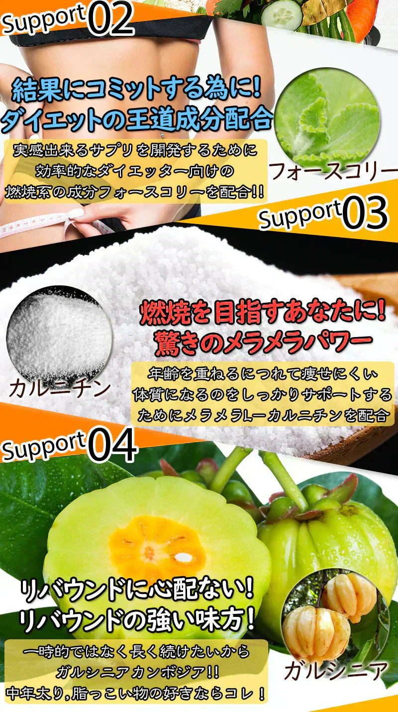【24時間モデル・30包約1ヵ月分 】本気ダイエット 短期集中-10kg ダイエット専用 サプリメント くびれ美人 痩せない方の為のサプリ むくみ ダイエット効果 サプリ 減量 激やせ 激減 痩せる やせる 燃やす 短期減量 短期ダイエット スリムサポート 美ボディダイエットサプリメント 生酵素 酵素 燃焼 燃焼系 コレウスフォルスコリ フォルスコリン フォルスコリ おすすめ 人気 ランキング 効果 強力 最強 国産サプリ