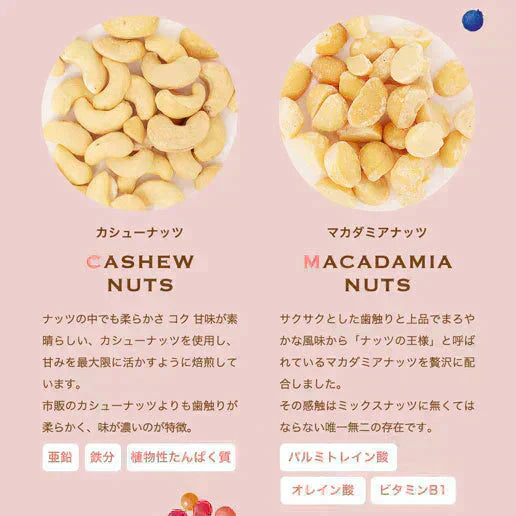 500g 2種のベリー入りミックスナッツ『ラッキーベリーナッツ 』 (250g×2)無塩 ナッツ くるみ カシューナッツ アーモンド クランベリー ワイルドブルーベリー 送料無料