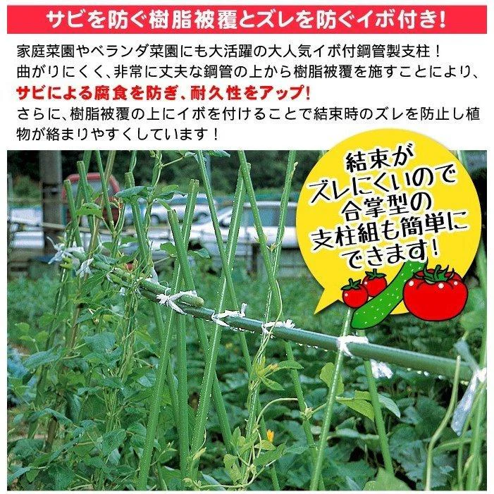 支柱 園芸 90cm 直径16mm 50本1組 イボ付 鋼管製 家庭菜園 グリーン イボ竹 国華園