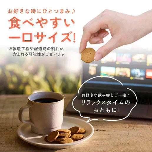 大麦粉使用の豆乳おからクッキー 500g 送料無料