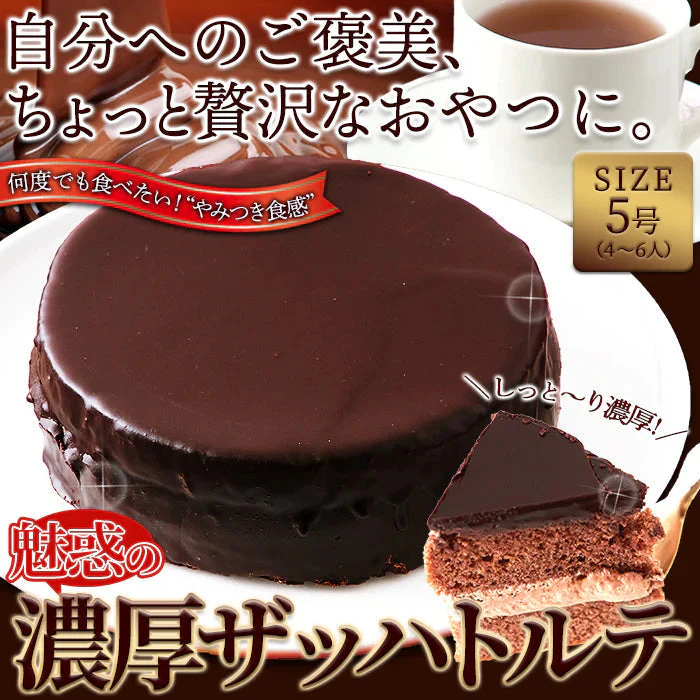 濃厚 ザッハトルテ 5号