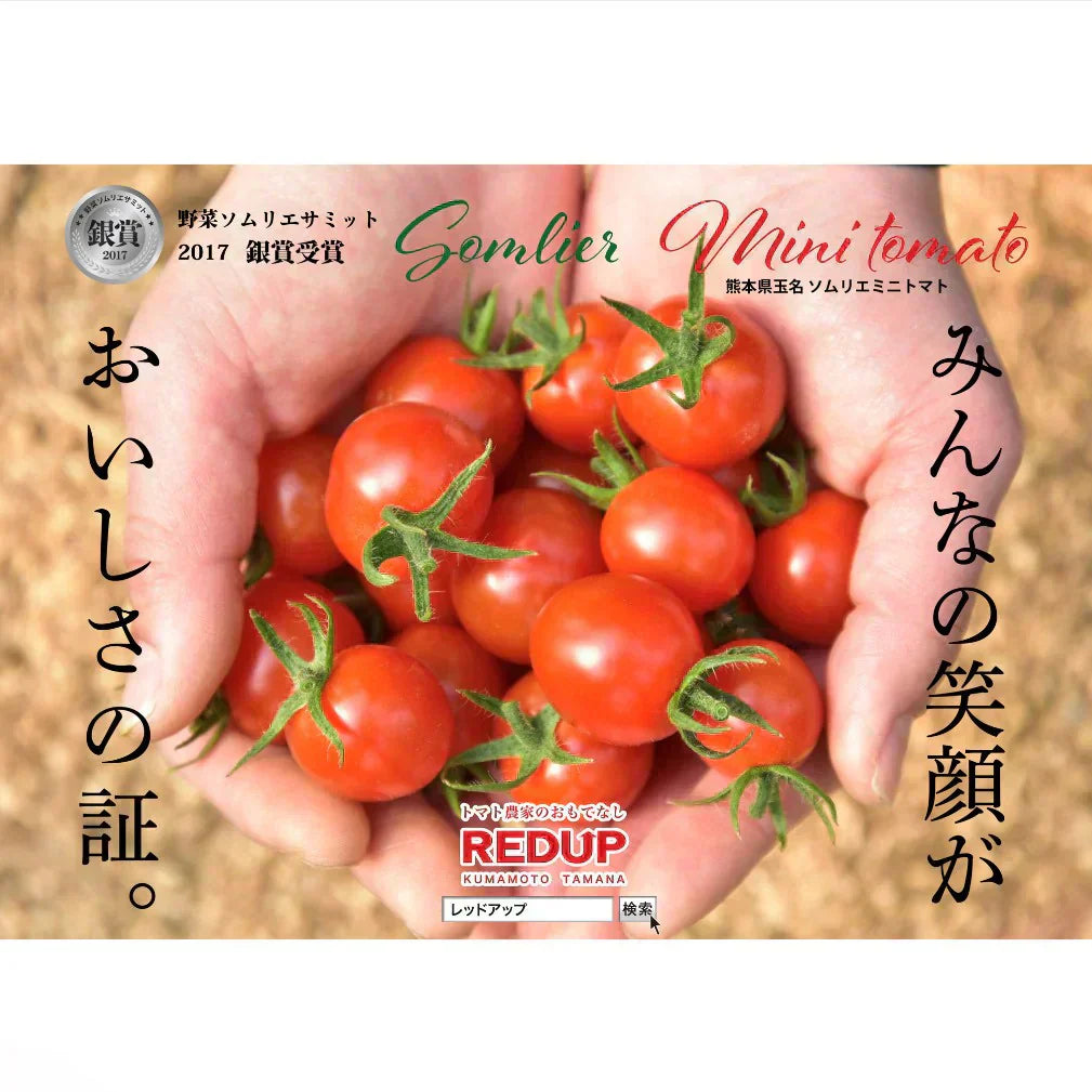 予約【1月前後から発送開始】お試し\特別栽培農産物/ソムリエミニトマト プラチナ 390g