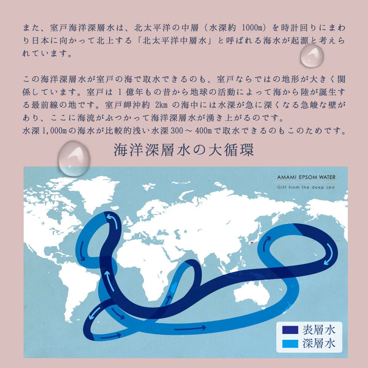 美と健康の炭酸水 エプソムウォーター 500ml 48本