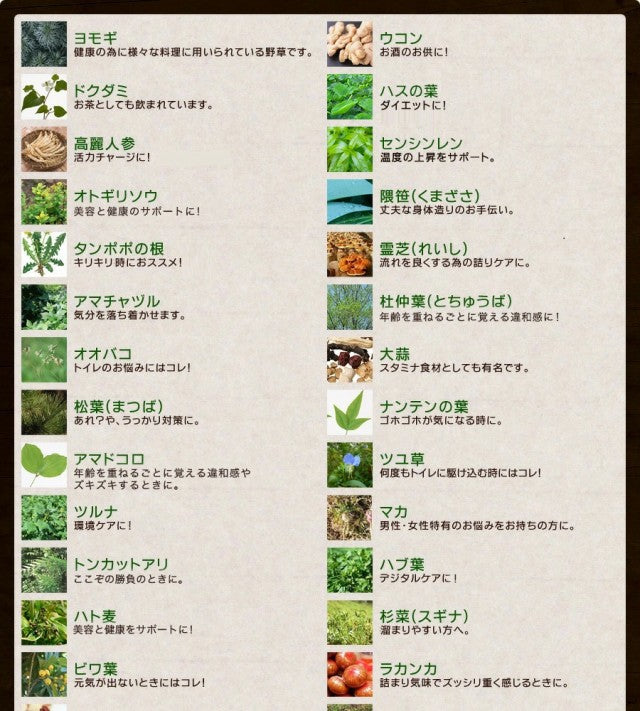 野草酵素《約1ヶ月分》酵素サプリ/サプリ/酵素ダイエット/サプリ/酵素サプリメント/ダイエット サプリ/ダイエット 酵素/