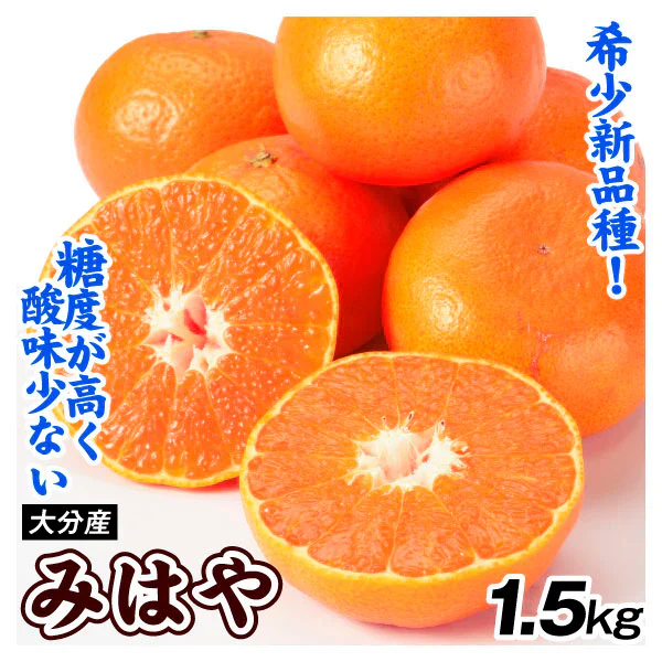 みかん 大分産 みはや 1.5kg ご家庭用(発送予定:2025年1月下旬より)