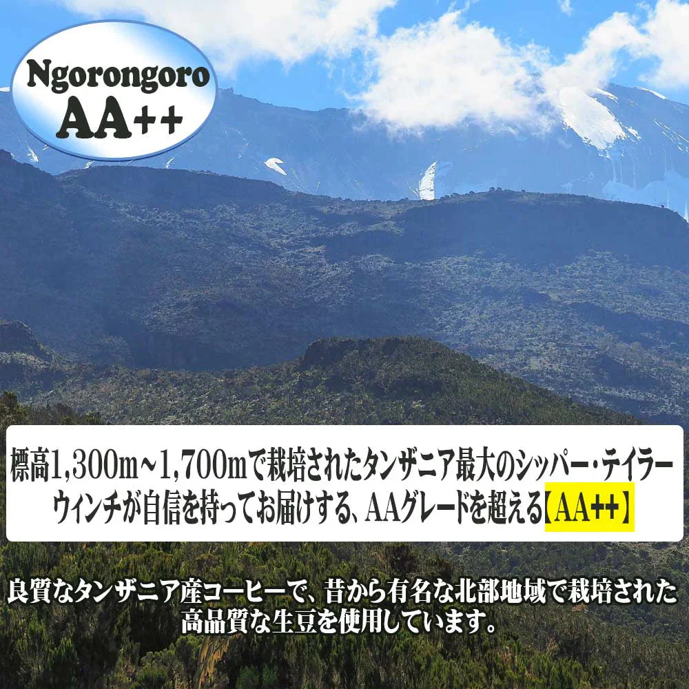 MARUKIN 珈琲 キリマンジャロ AA++ タンザニア 160g×1袋 コーヒー豆 メール便限定 送料無料