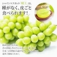 【9月上旬順次発送】送料無料 岡山産 シャインマスカット 晴王 優品2房 800-900g