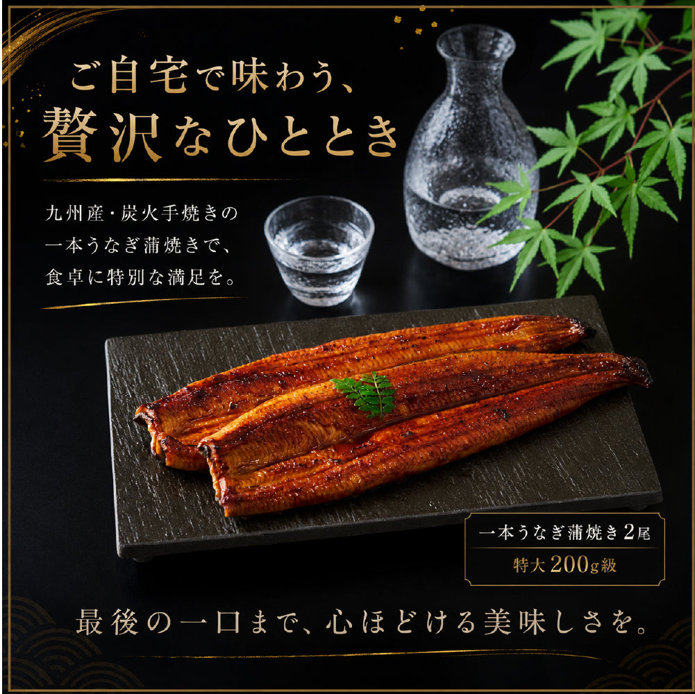 先着100名様限定!\煮穴子200gプレゼント中/父の日 うなぎ 2尾 特大一本うなぎ蒲焼き 30cm×200g超 国産うなぎ 特大国産うなぎ 2尾 市場直送 母の日 中元 土用の丑の日 鰻 関西焼き 高評価 国産 特大 うなぎ蒲焼き 関西焼き 特大サイズ ウナギ 国産鰻 特大 蒲焼 夏ギフト