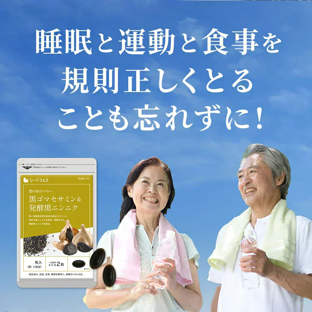 黒ゴマセサミン&発酵黒ニンニク《約3ヶ月分》サプリ サプリメント 健康 セサミン アルファリポ酸 アリルシステイン アリイン 黒ゴマ 黒にんにく にんにく ニンニク