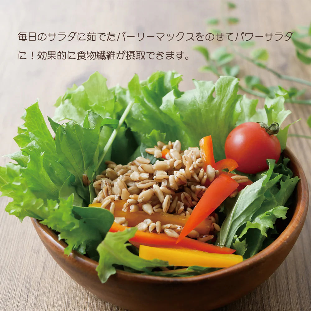 α化 スーパー大麦 800g/袋 バーリーマックス ダイエット 食物繊維 ミネラル スーパーフード 大麦 もち麦 玄麦 腸活 雑穀 レジスタントスターチ β-グルカン 糖質カット 糖質オフ 糖質制限