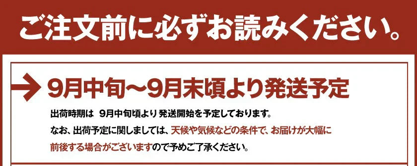 小玉 みかん 送料無料 訳あり みかん 小粒 1.5kg 家庭用 箱買い 果物 小粒 熊本 極早生 柑橘 九州 訳アリ だけど 小玉 で 甘い 蜜柑 わけあり 《9月中旬-9月末頃より発送予定》