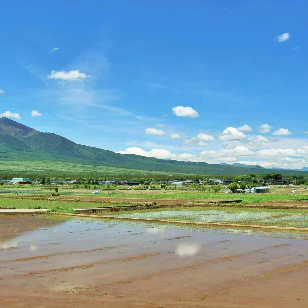 秋田県産きぬのはだ 150g