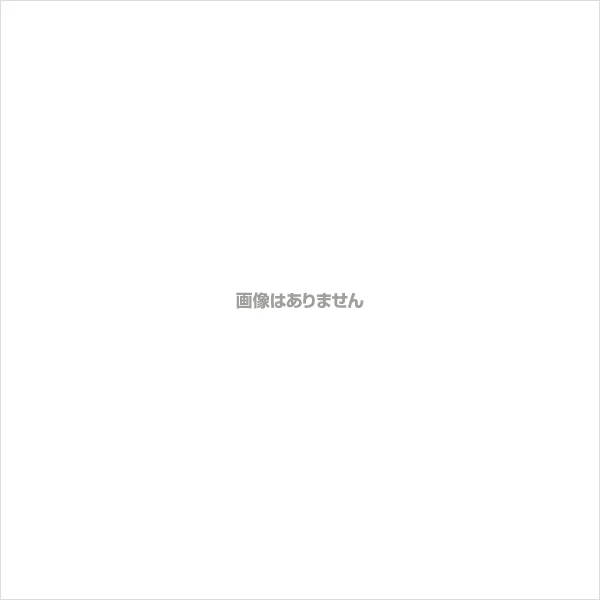 お得な10箱セット 使い捨てポリ手袋 エブノ No.3061 エブケアシルキーグローブ 半透明 Sサイズ 100枚入りX10箱