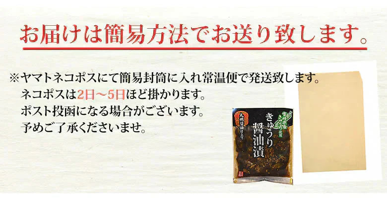 漬物 きゅうり醤油漬 無添加 400g(100g×4袋) 送料無料 九州醤油仕立て ポッキリ お試し 宮崎県産 お取り寄せ きゅうり つけもの【プチプラ特集】