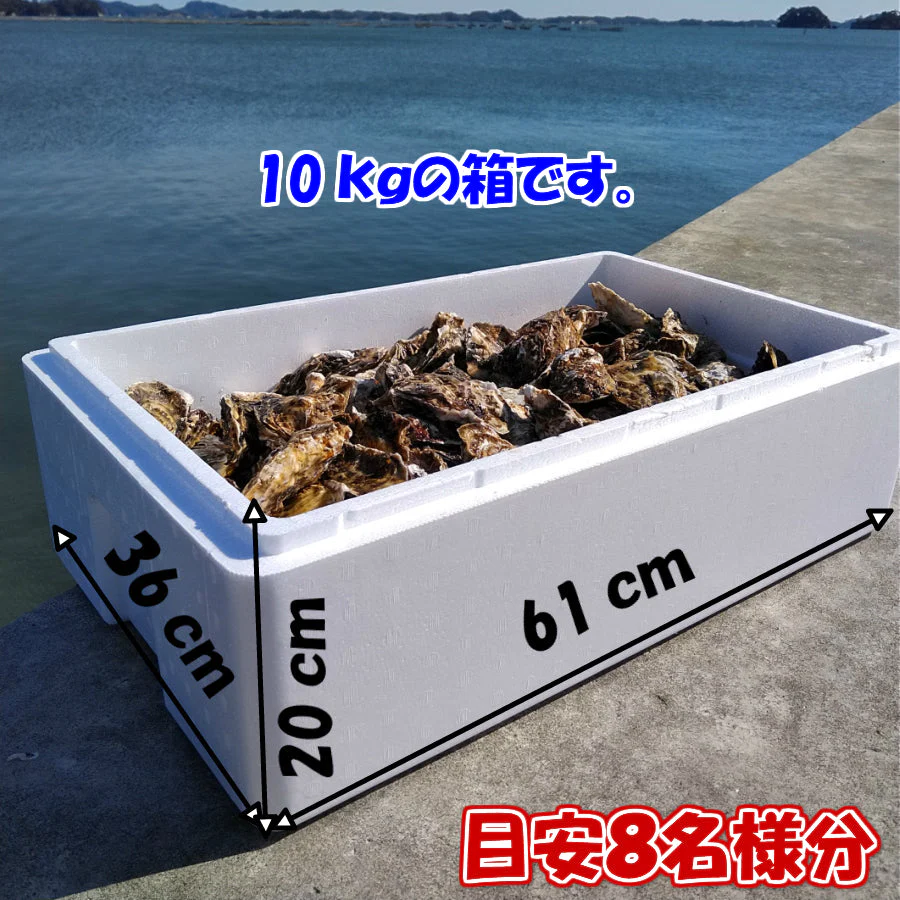 牡蠣 殻付き 牡蠣 あす楽対応!無選別「MIX10kg」(約120粒)冷凍便 送料無料!10キロ 宮城県産 殻付き牡蠣 殻付き 殻付 カキ 加熱用 松島牡蠣屋 無選別牡蠣 牡蛎 BBQ バーベキュー食材 海産物【120】