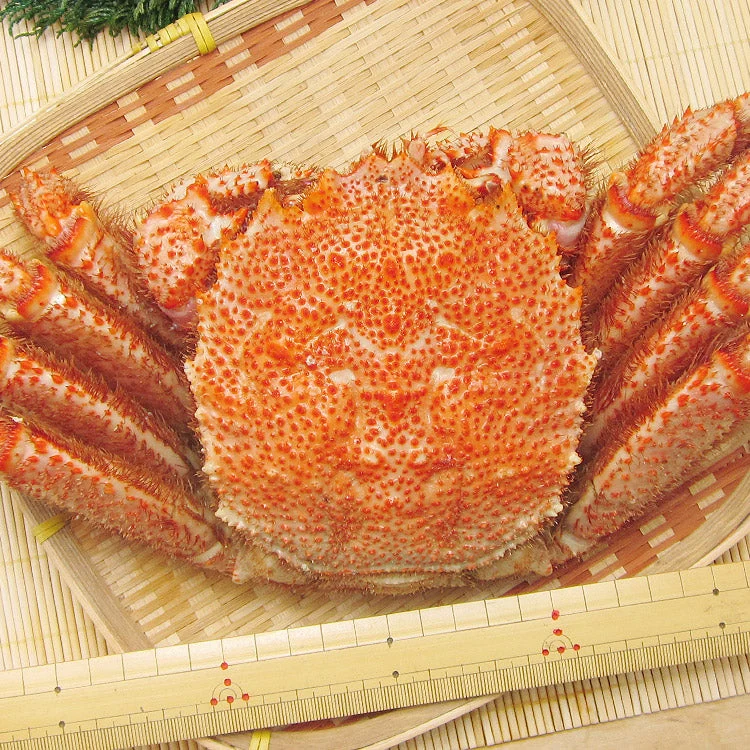 【数量限定】幻の巨大毛ガニ1尾約1kg 送料無料 《※冷凍便》 _姿_蟹 お取り寄せグルメ 食品 ギフト