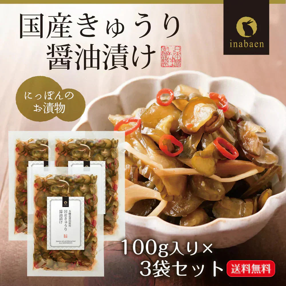 【3個セット】日本橋いなば園 国産きゅうり醤油漬け 100g ネコポス メール便送料無料