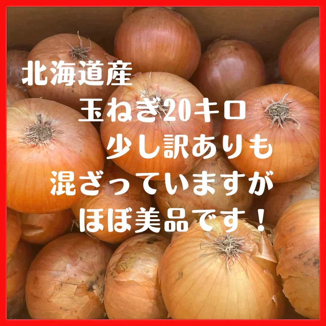 玉ねぎ 北海道産 20キロ Lサイズ