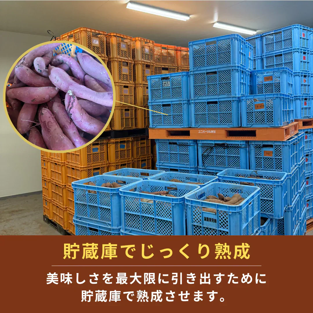 【焼き芋屋が厳選◎】 紅はるか 訳あり 2kg(1.5kg+補償分500g) さつまいも シルクスイート サツマイモ 干し芋 好きに 青果 野菜 市場 食品 グルメ スイーツ 甘味