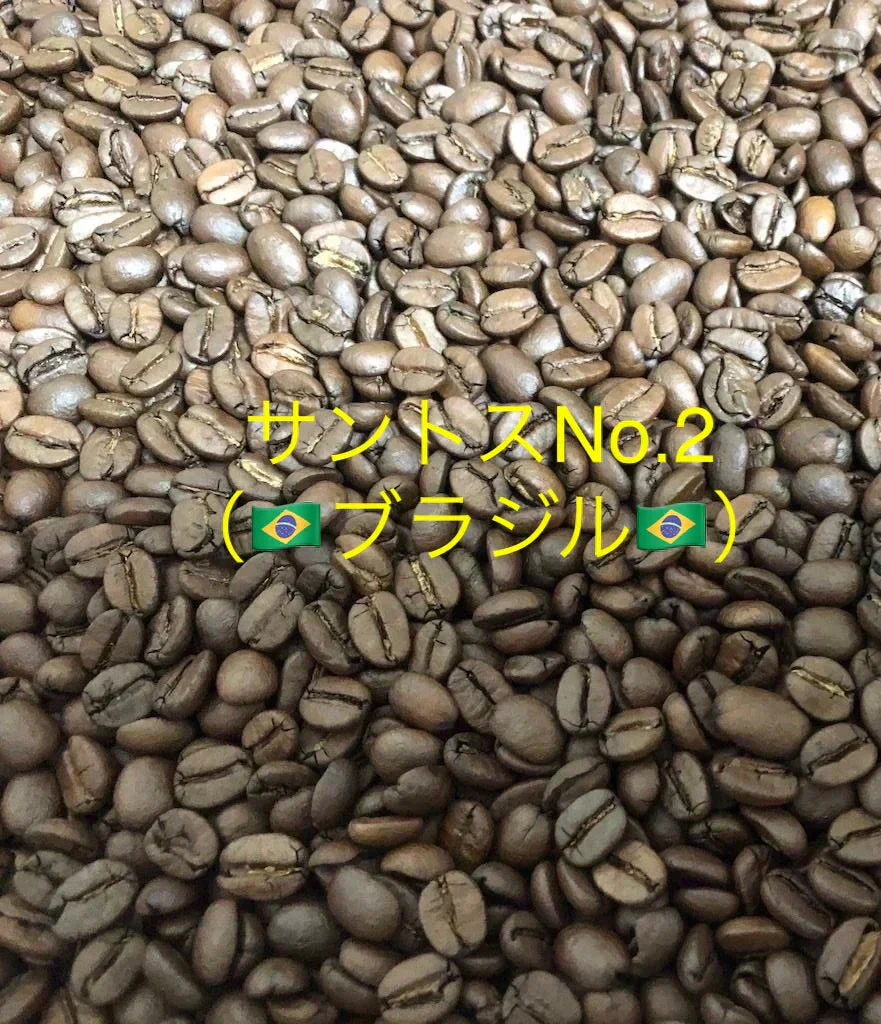 【お試し】「サントスNo.2(ブラジル🇧🇷)」 50g 豆 送料無料【カウシェファーム収穫対象商品】