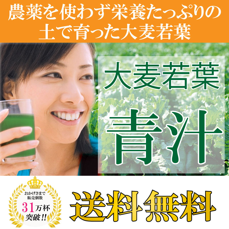 大麦若葉青汁 300P 箱なし 送料無料