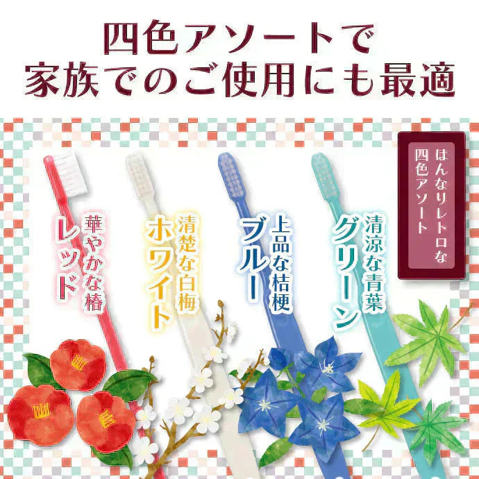 歯ブラシ Ci202(Mふつう) 4色アソート 20本セット【歯科医院専売品 ハブラシ】【メール便送料無料】