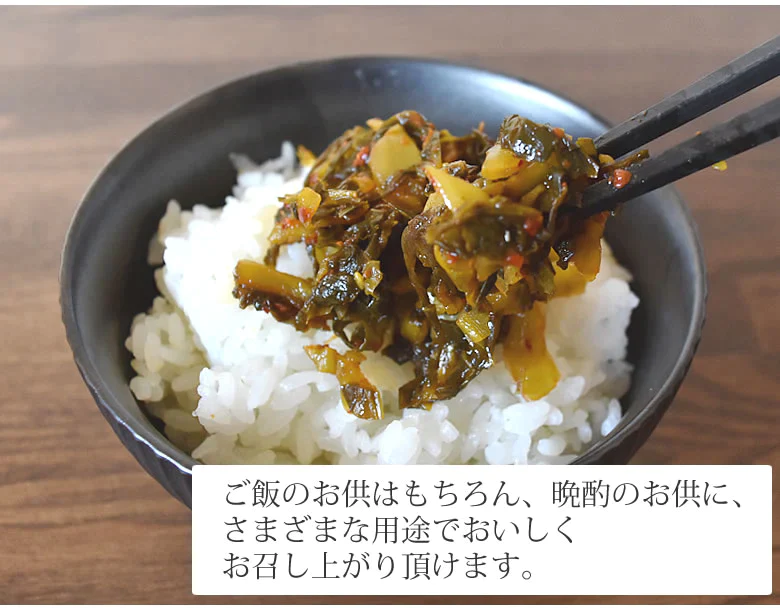 辛子高菜漬 高菜 漬物 600g(150g×4袋) 送料無料 お試し お取り寄せ 宮崎県産 ピリ辛たかな ポイント消化 つけもの