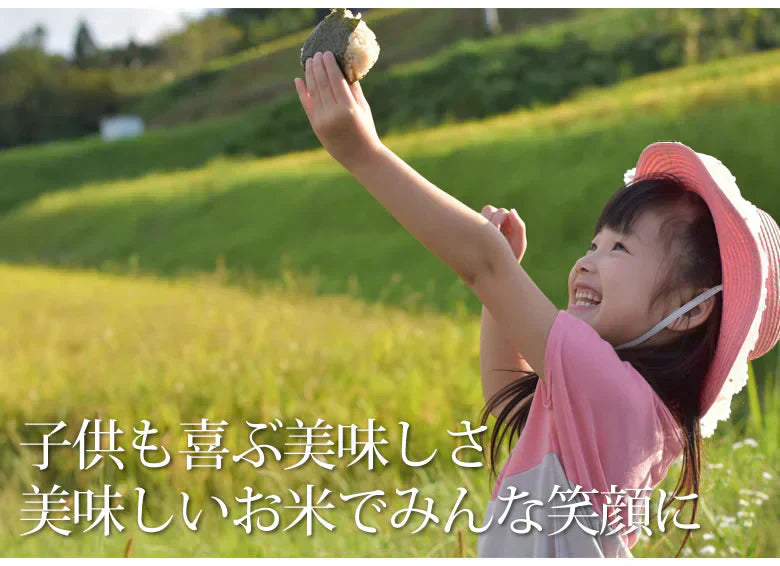 くまさんの輝き 無洗米 送料無料 計900g(300g×3袋) お試し 令和6年産 熊本県産 お米 白米 玄米 コシヒカリ ヒノヒカリ 森のくまさん