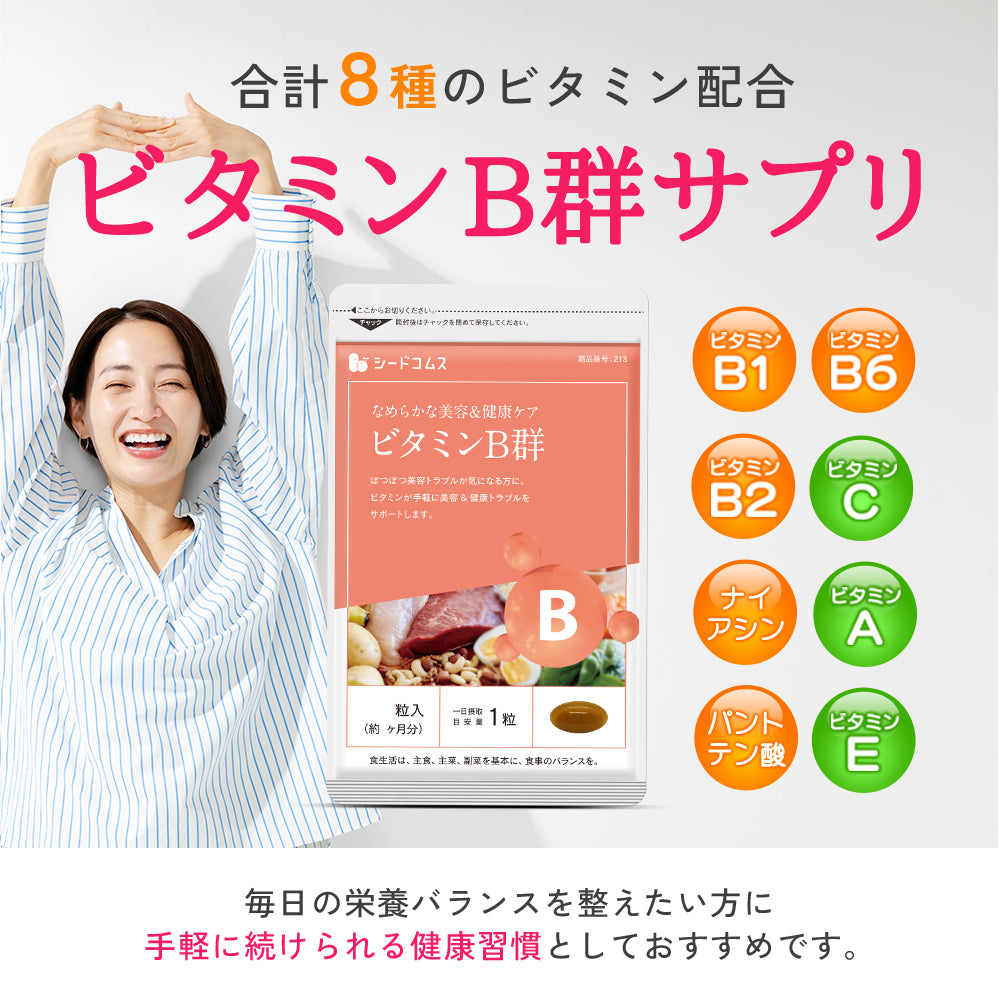 ビタミンB群《約1ヶ月分》チアミン硝酸塩/リボフラビン/ナイアシン/ニコチン酸アミド/ピリドキシン塩酸塩
