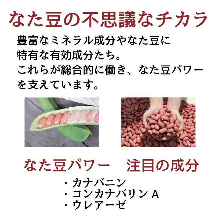 薬用 薩摩なた豆はみがき 爽 125g◆なたまめ 刀豆 ナタマメ 歯磨き粉 はみがき粉 ハミガキ粉 歯周炎 歯槽膿漏 口臭 予防 対策 防止 日本製 国産