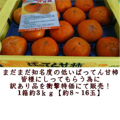 【10月中旬より順次発送予定】ばってん甘柿 訳あり 3kg×3箱(1箱 約3kg) 樹上脱渋柿 種なし柿 送料無料