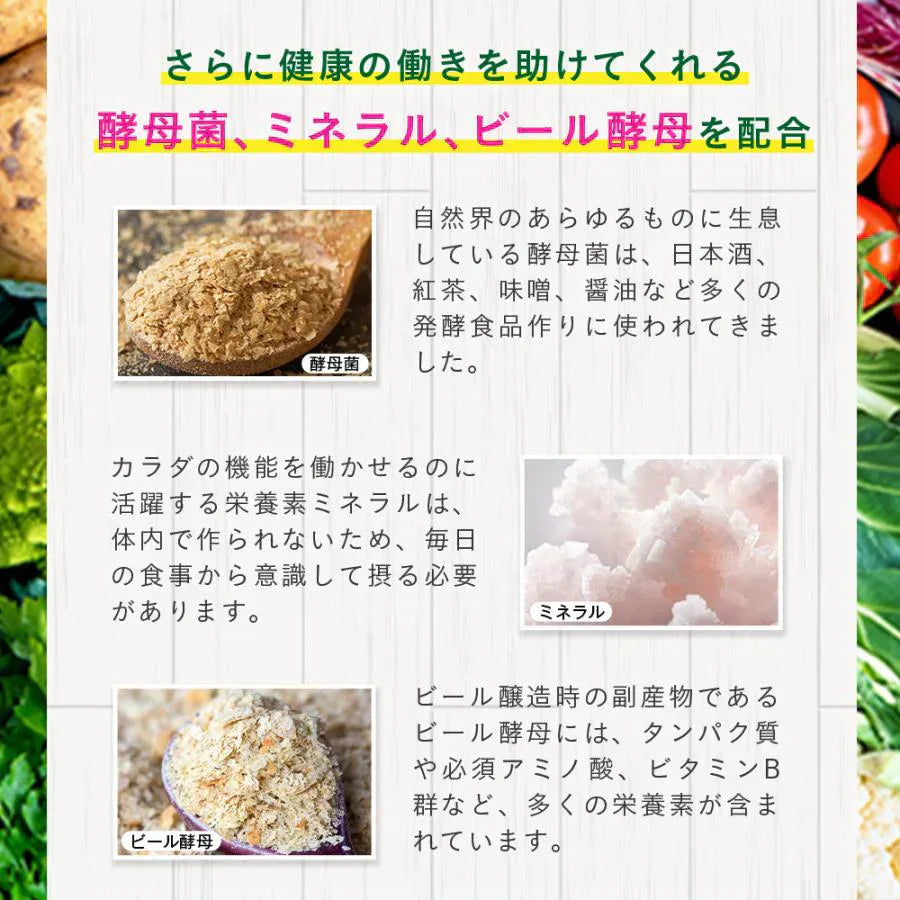 まいにち酵素《約1ヶ月分》野草 果実 海藻 キノコ 豆類を使用 送料無料 酵素サプリ【カウシェファーム収穫対象商品】