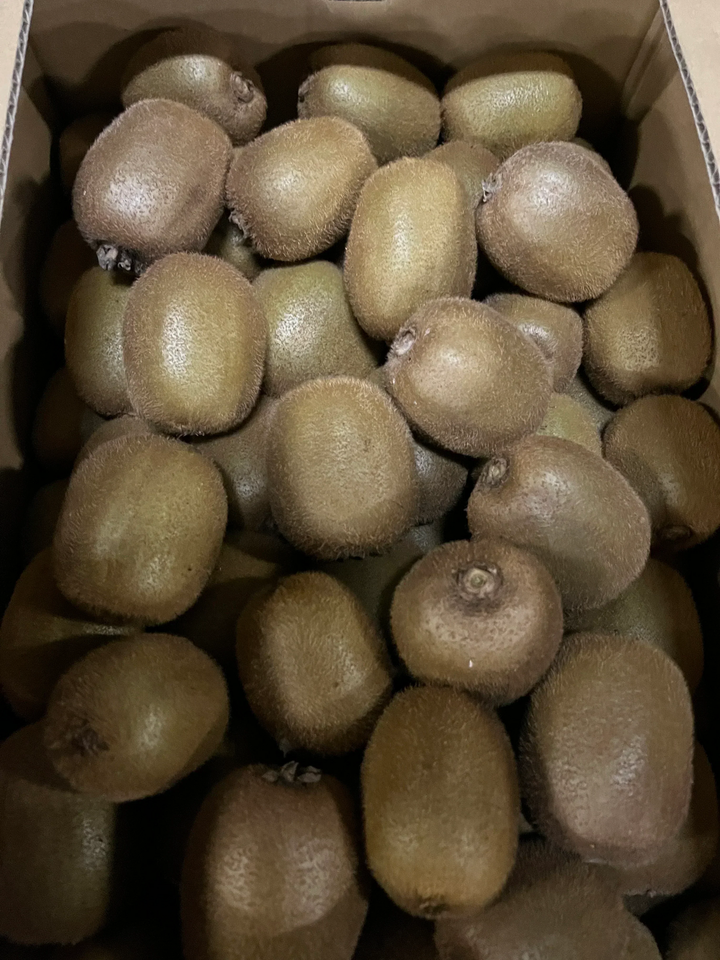 【11月頃発送開始】おトクで美味しい! 愛媛県産 グリーンキウイ2Kg(20個前後)(風袋込み)