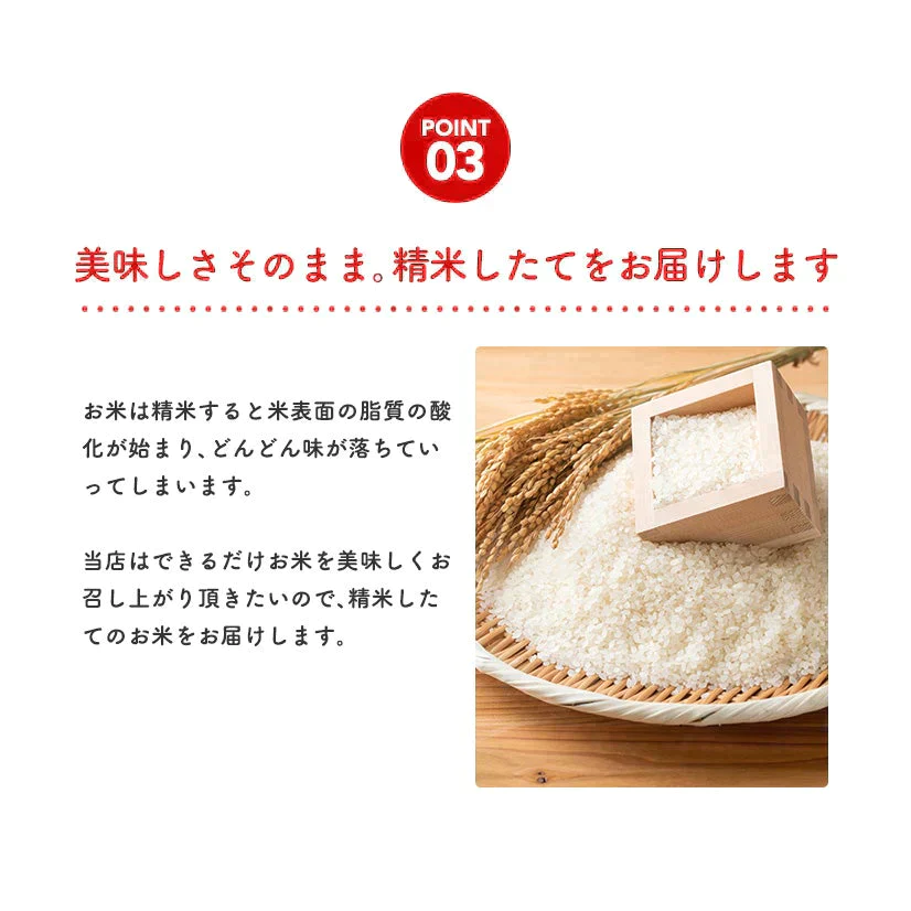 【令和4年産】 こまち姫20kg(オリジナルブレンド米)米びつ当番【天鷹唐辛子】プレゼント付きギフト