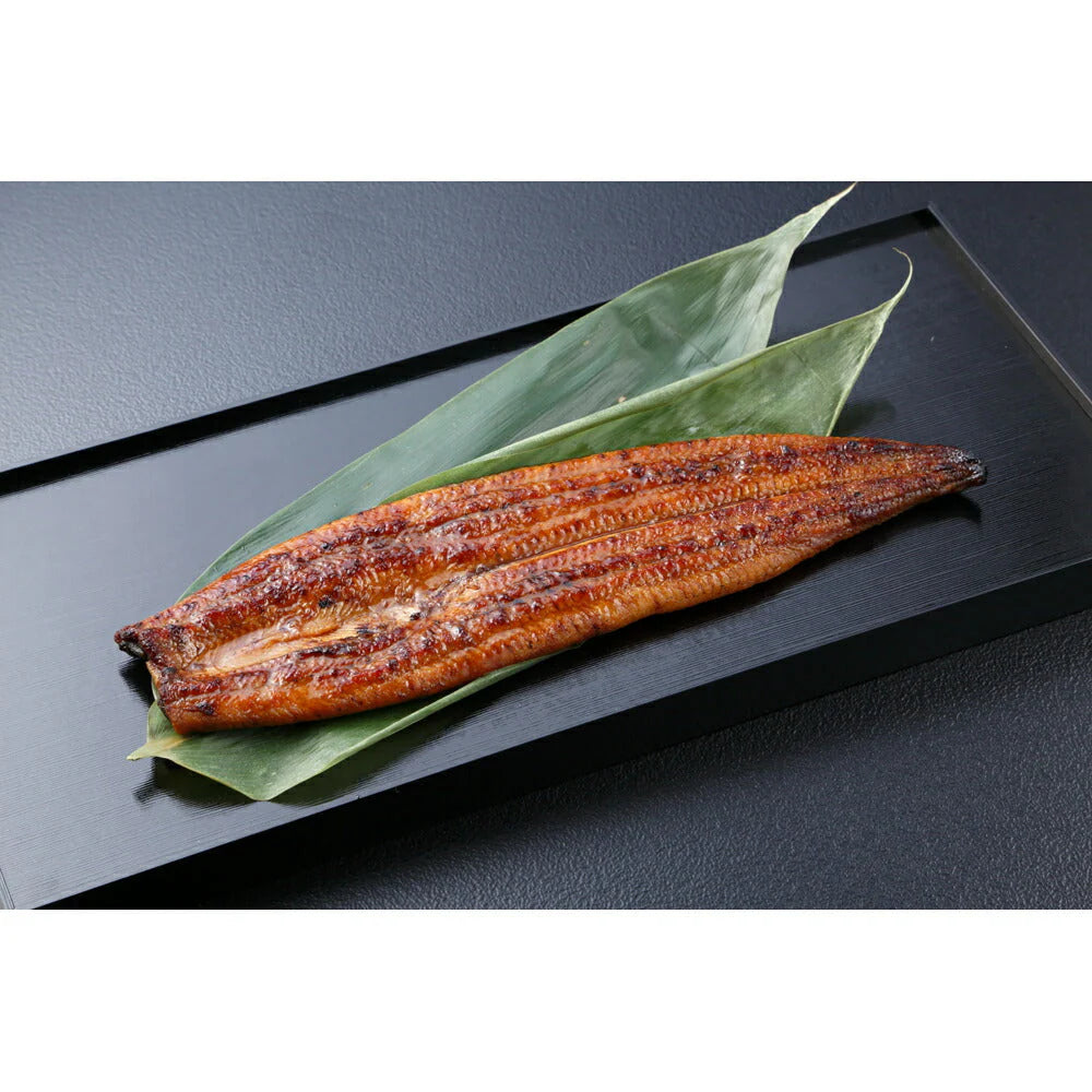 うなぎ問屋の大五蒲焼 (長焼3尾)肝吸付き【送料込み】